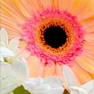 Resell Bundle-15 NWT, NWOT,never worn nor washed